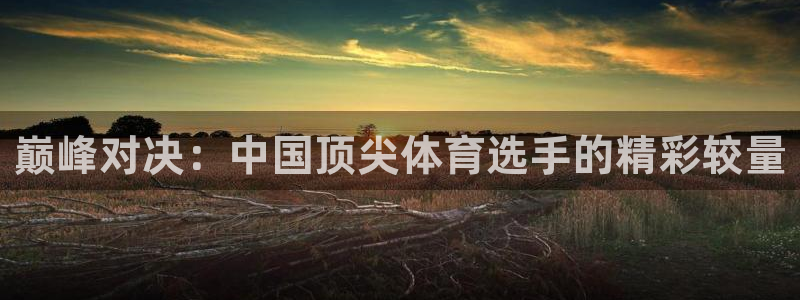 米兰体育网站