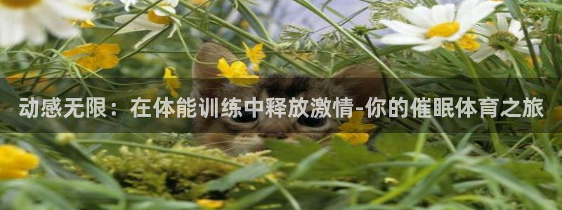 米兰体育网站